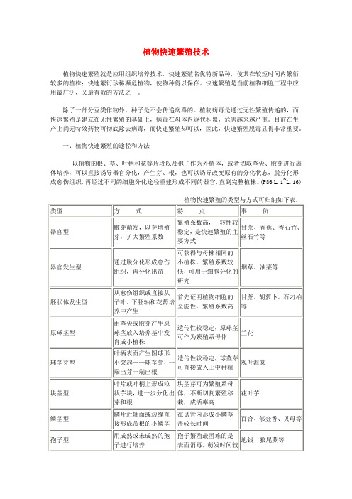 高中生物 第五章 植物的组织培养技术 5.1 植物快速繁殖技术(1)素材 中图版选修1