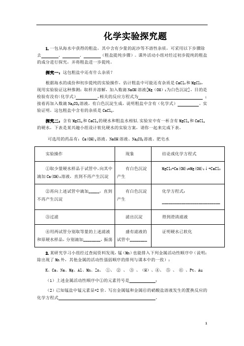 化学实验探究专题Microsoft Word 文档