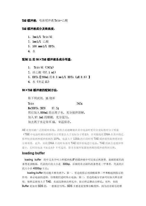 [VIP专享]TAE缓冲液
