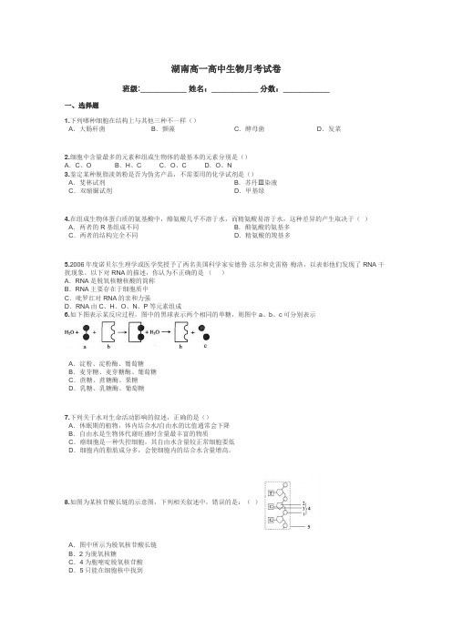 湖南高一高中生物月考试卷带答案解析
