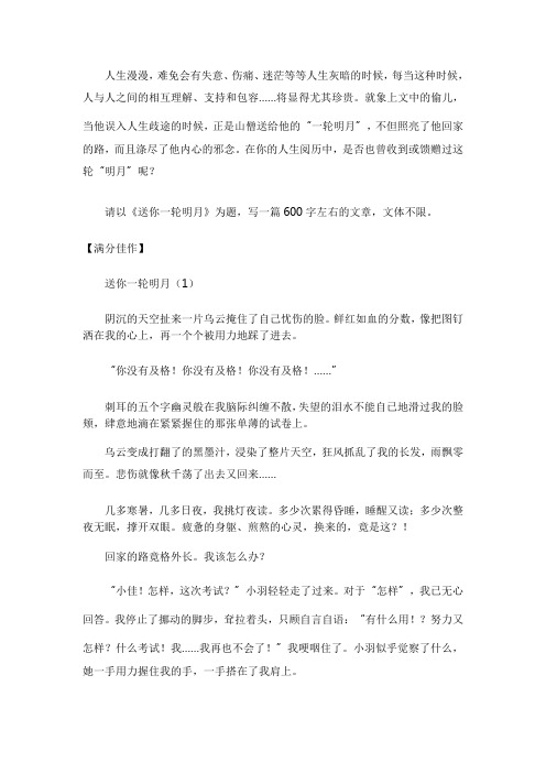 宜昌市中考满分作文例文