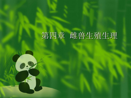第4-5章兽类生殖生理