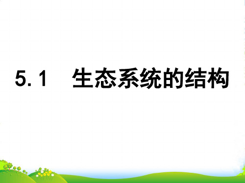 人教版高中生物必修(三)5.1生态系统的结构 课件 (共28张PPT)