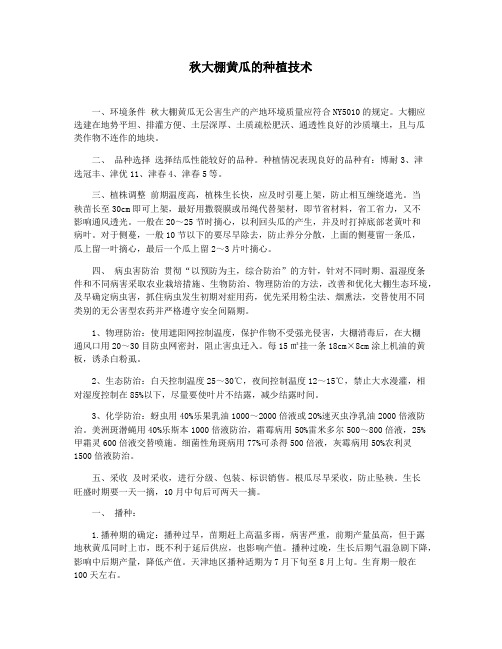 秋大棚黄瓜的种植技术