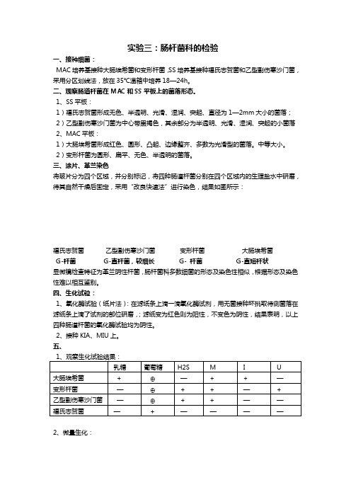 肠杆菌科的检验   微生物实验