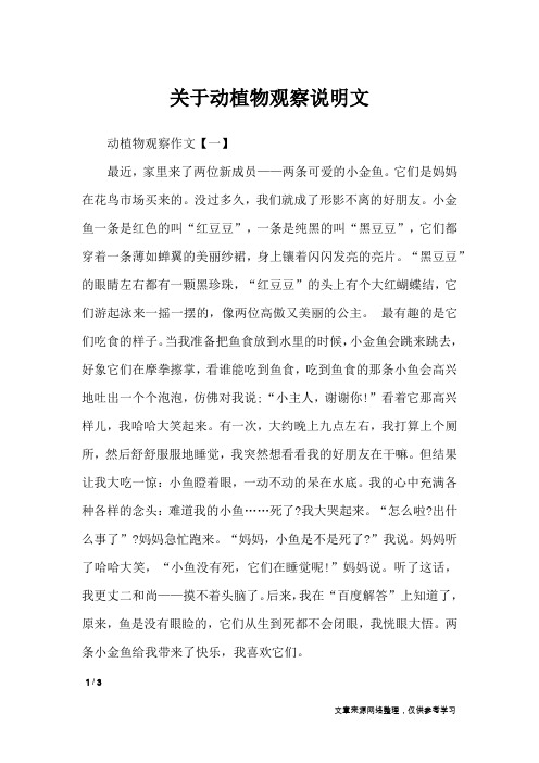 关于动植物观察说明文_描写作文
