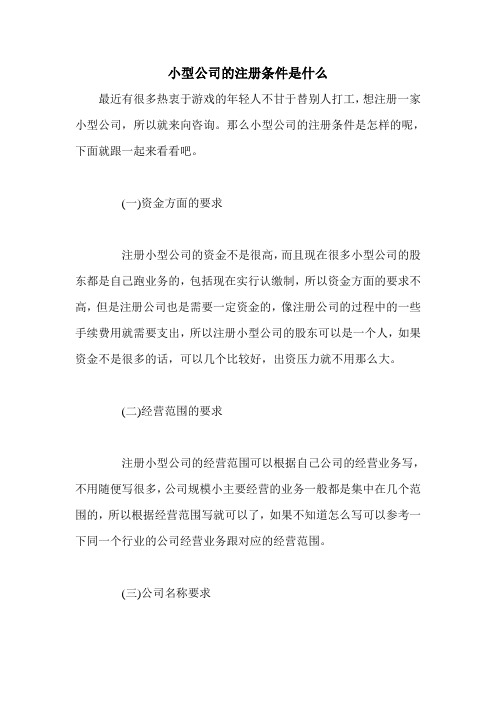 小型公司的注册条件是什么