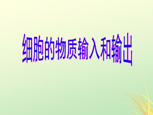 高中生物 专题4.1 物质跨膜运输的实例同步 新人教版必修1