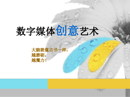 数字媒体艺术创意设计-63页精选文档
