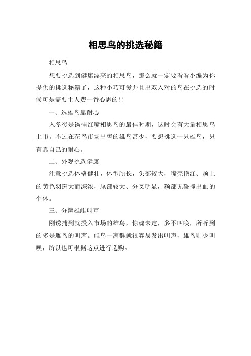 相思鸟的挑选秘籍