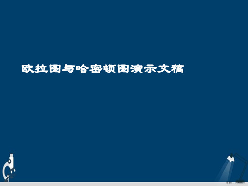 欧拉图与哈密顿图演示文稿