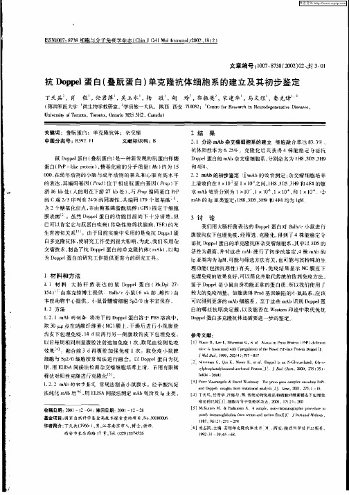 抗Doppel蛋白(叠朊蛋白)单克隆抗体细胞系的建立及其初步鉴定