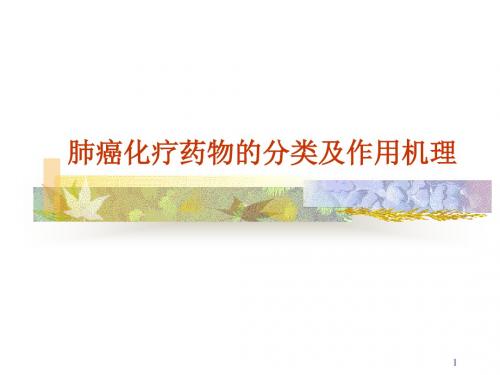 肺癌常用化疗药物介绍ppt课件