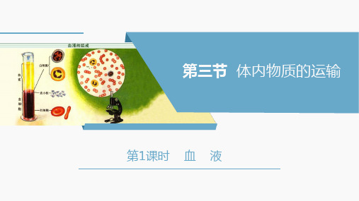 九年级上科学《体内物质的运输》PPT实用课件浙教版