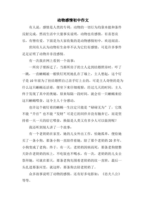 动物感情初中作文