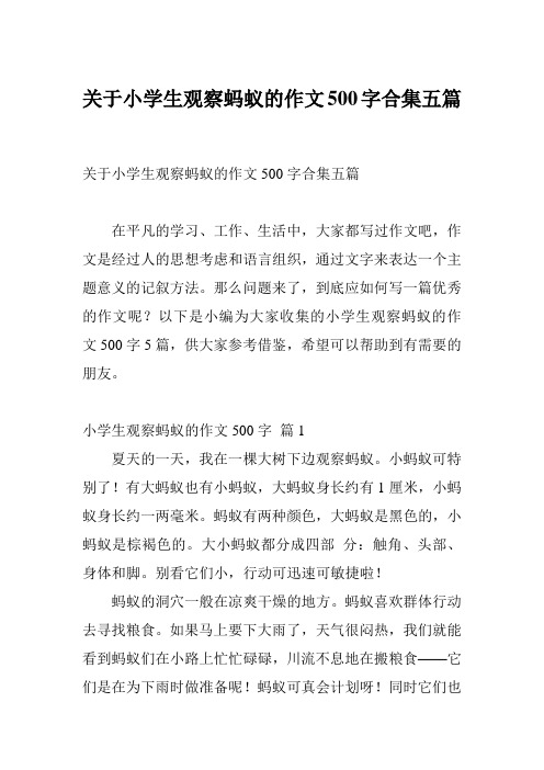 关于小学生观察蚂蚁的作文500字合集五篇