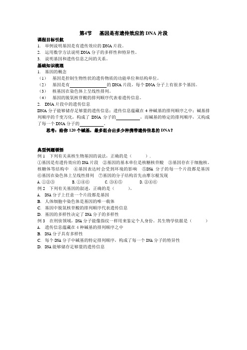 第3章第4节基因是有遗传效应的DNA片段
