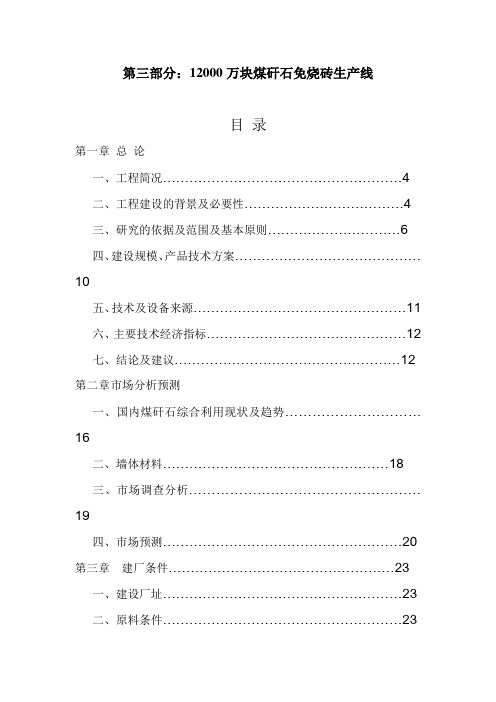 化工业公司煤矸石粉煤灰砖项目可行性报告