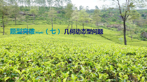 中考数学总复习 题型突破07 几何动态型问题课件