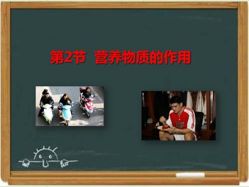苏科版七年级生物上册《营养物质的作用》课件