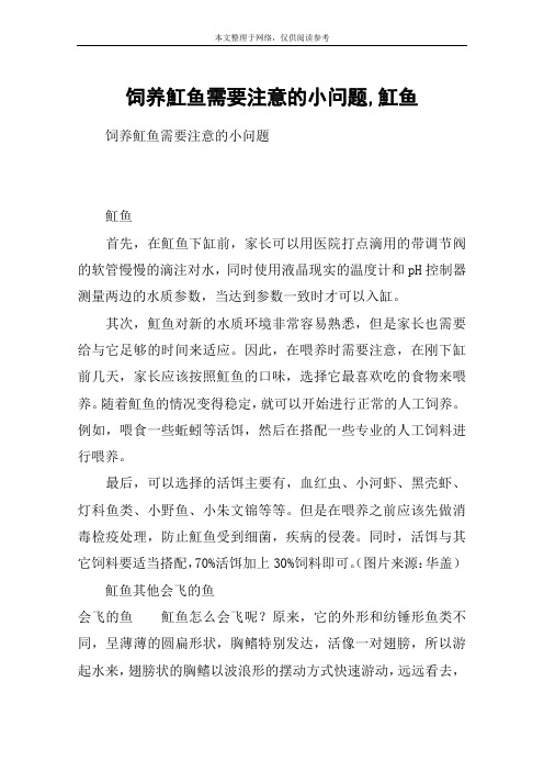 饲养魟鱼需要注意的小问题,魟鱼