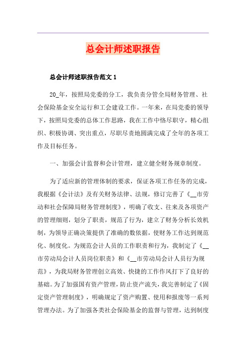 总会计师述职报告