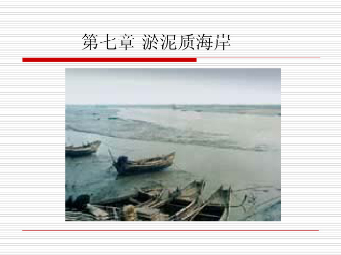 淤泥质海岸