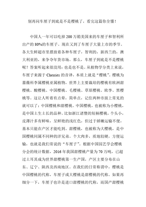 别再问车厘子到底是不是樱桃了,看完这篇你全懂!