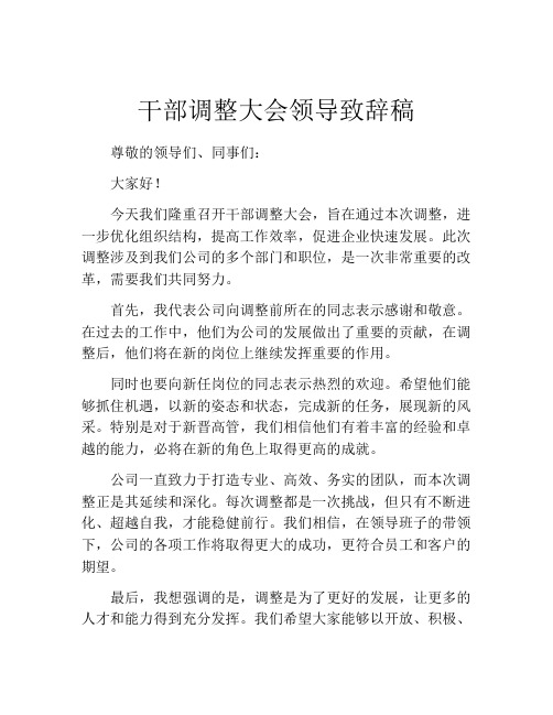 干部调整大会领导致辞稿
