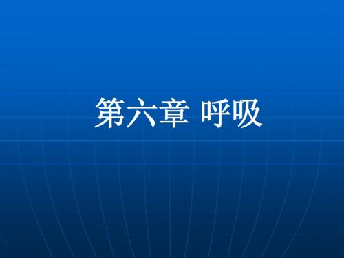 动物生物学鱼因类的呼吸