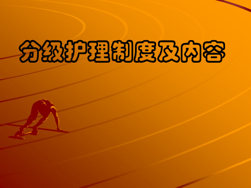 分级护理制度ppt