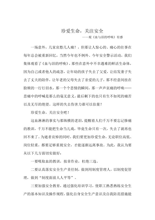 《血与泪的呼唤》观后感
