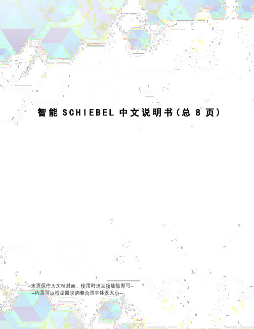 智能SCHIEBEL中文说明书