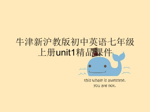 深圳七年级上册英语unit1精品课件PPT