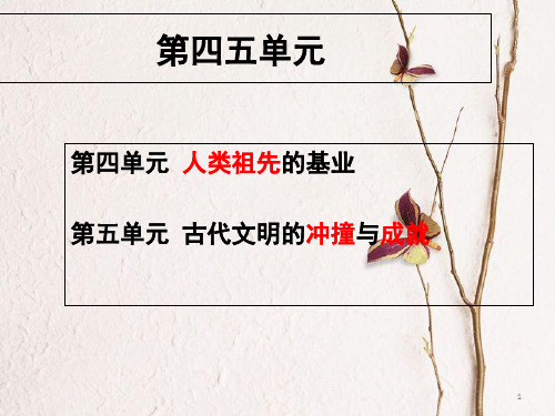 广东省佛山市八年级历史下学期期末复习课件一 北师大版.ppt