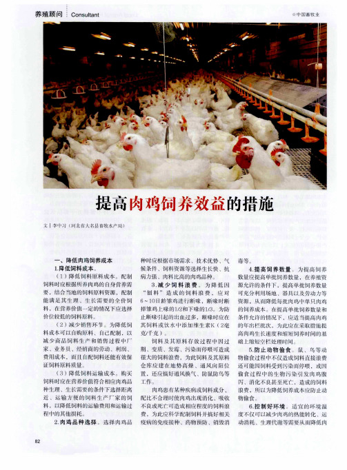 提高肉鸡饲养效益的措施