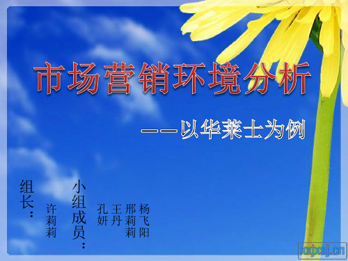 市场营销环境分析-以华莱士为例