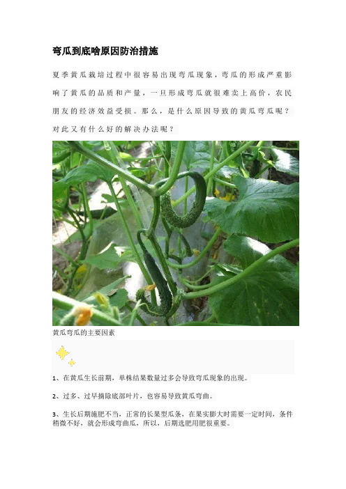 弯瓜到底啥原因防治措施