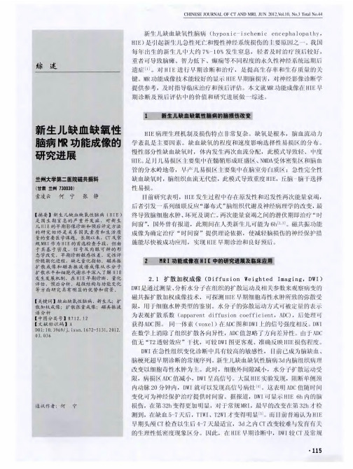 新生儿缺血缺氧性脑病HR功能成像的研究进展