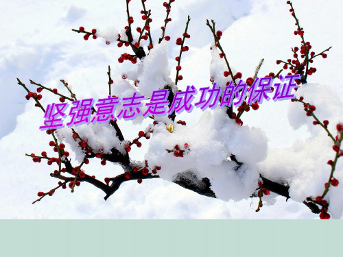 坚强意志是成功的保证1 鲁教版精品公开PPT课件