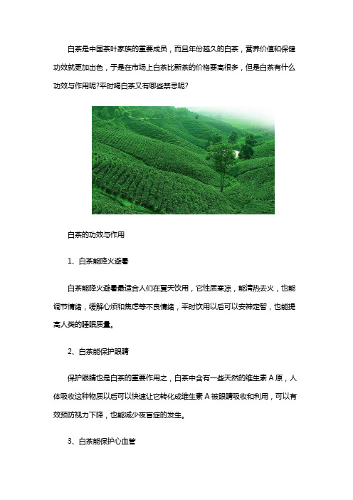 溧阳白茶可以久存放吗和供应