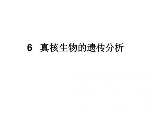6.真核生物的遗传分析1