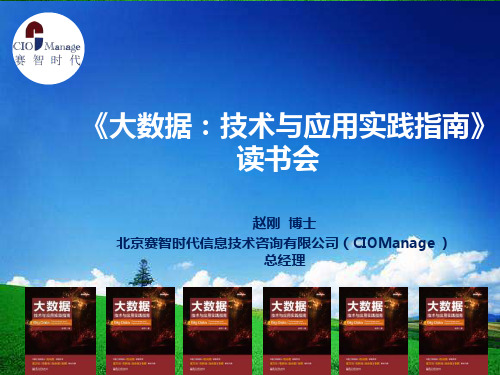 大数据：技术与应用实践指南