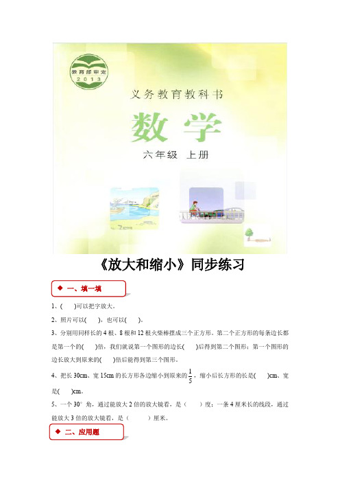 冀教版六年级数学上册同步练习题 第六单元《放大与缩小》
