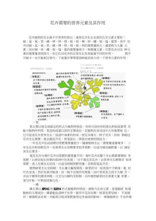 花卉需要的营养元素及其作用