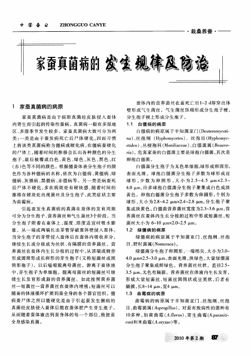 家蚕真菌病的发生规律及防治