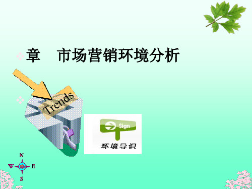 市场营销环境分析(ppt46张)