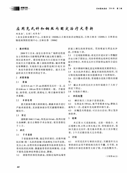 应用克氏针和钢丝内固定治疗犬骨折