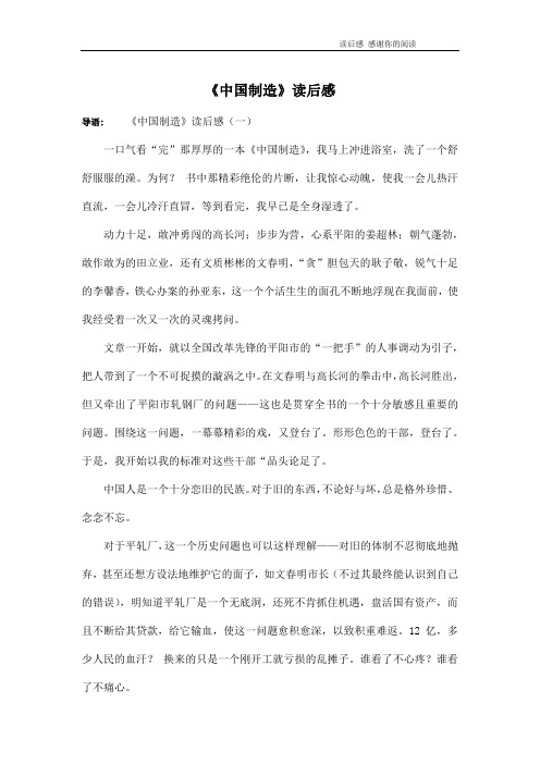 《中国制造》读后感