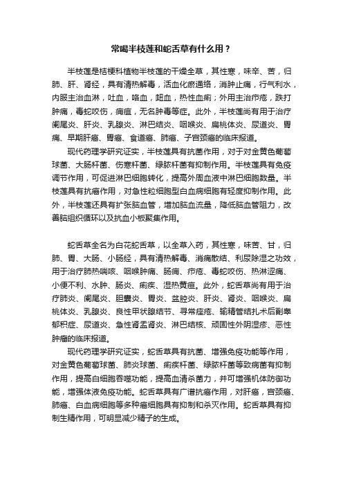 常喝半枝莲和蛇舌草有什么用？
